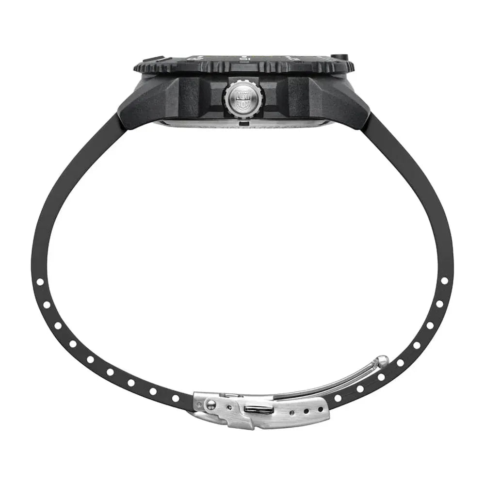 XS.3602.NSF / 3602.NSF