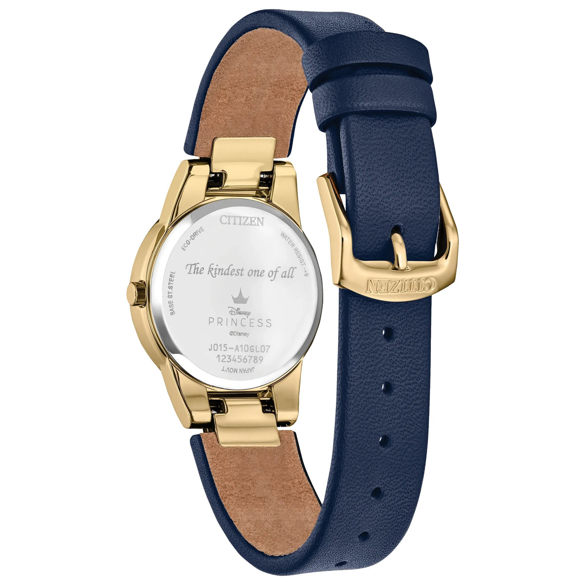 GA1079-41W