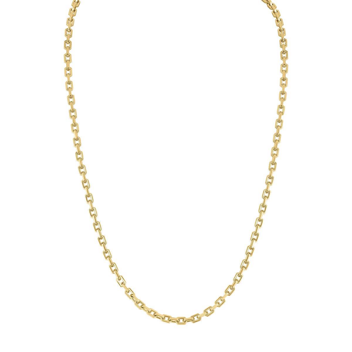 BVC1077-GSTNA24