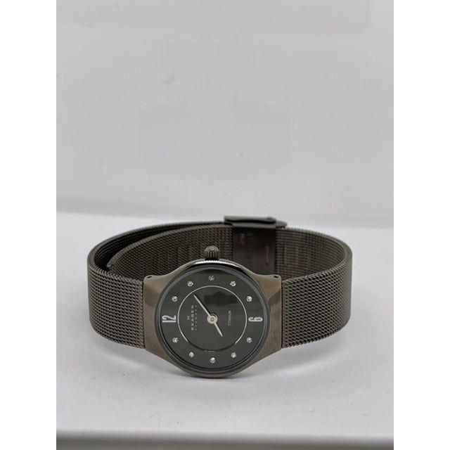 Skagen Ladies Gray Dial Gray Mesh Bracelet Quartz Titanium Watch 233XSTTM