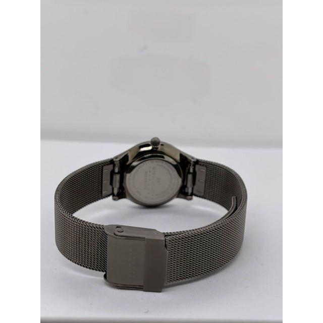 Skagen Ladies Gray Dial Gray Mesh Bracelet Quartz Titanium Watch 233XSTTM