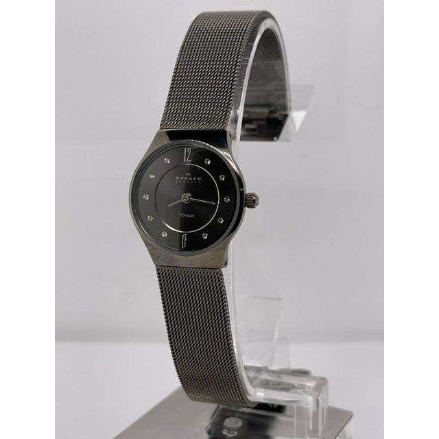 Skagen Ladies Gray Dial Gray Mesh Bracelet Quartz Titanium Watch