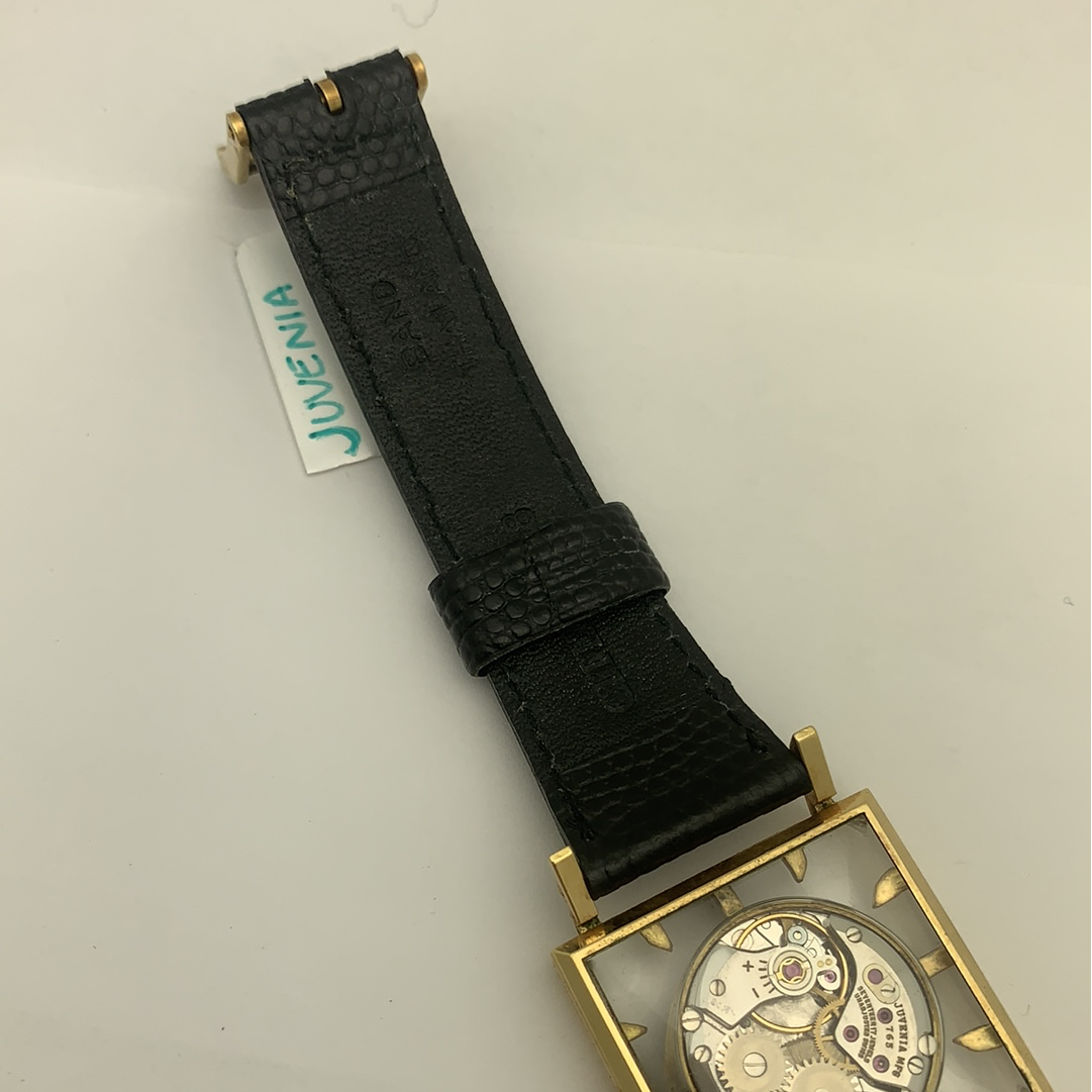 Juvenia Swiss Mystery Dial Mechanical Black Leather Strap Watch 765