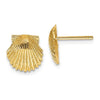 EARBBQGTC569 14k Scallop Shell Post Earrings