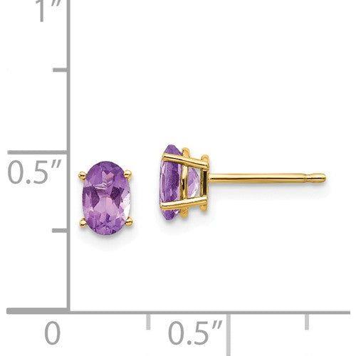 EARBBQGXBE14 14k 6x4 Oval February/Amethyst Post Earrings